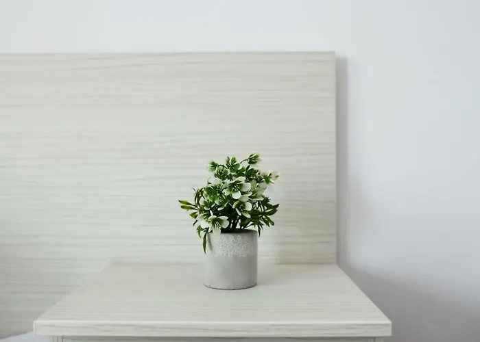 게스트하우스 Casa Margo 데포리노드