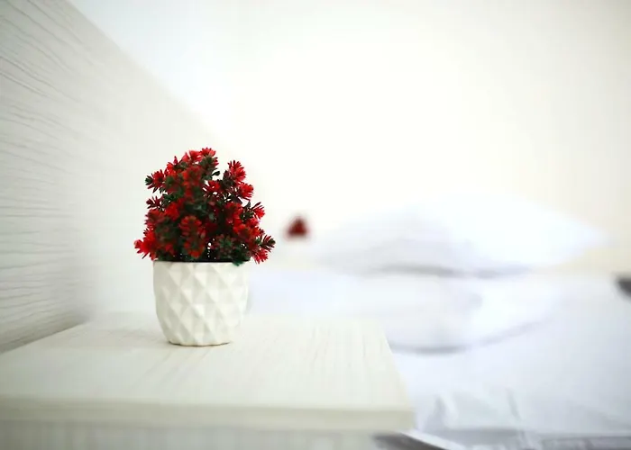 Casa Margo 데포리노드